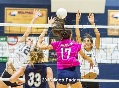 Thumbnail 1 in Westview @ Great Oak photogallery.