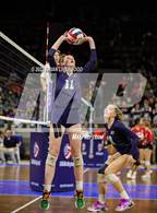 Photo from the gallery "Rock Canyon vs. Pine Creek (CHSAA 5A Round 2)"
