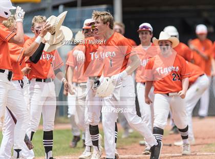 Thumbnail 1 in Sterling vs. Resurrection Christian (CHSAA 3A Playoffs) photogallery.