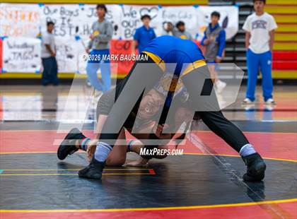 Thumbnail 1 in Valencia @ Segerstrom photogallery.