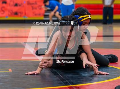 Thumbnail 1 in Valencia @ Segerstrom photogallery.