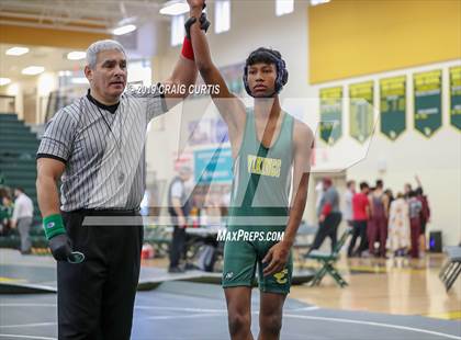 Thumbnail 3 in Patriot Duals photogallery.