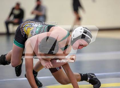 Thumbnail 3 in Patriot Duals photogallery.