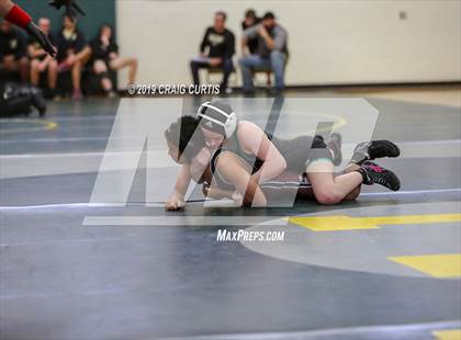 Thumbnail 2 in Patriot Duals photogallery.