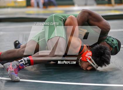 Thumbnail 2 in Patriot Duals photogallery.