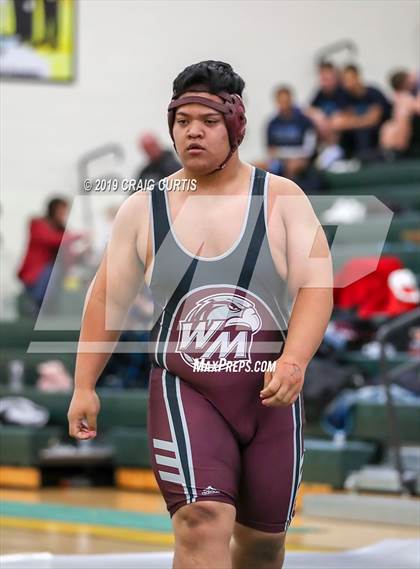 Thumbnail 2 in Patriot Duals photogallery.