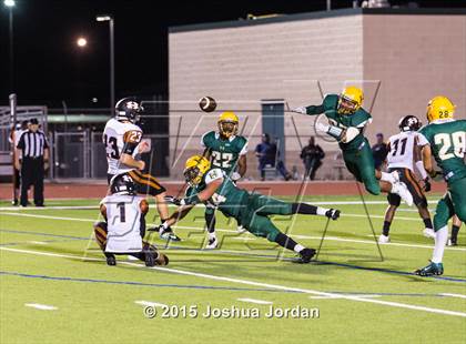 Thumbnail 2 in Hutto @ Holmes photogallery.
