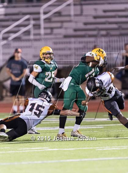 Thumbnail 3 in Hutto @ Holmes photogallery.
