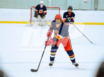 Thumbnail 3 in Woodbridge @ West Springfield photogallery.