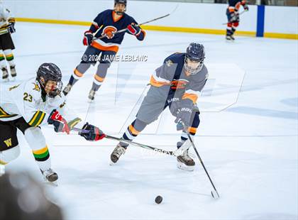 Thumbnail 3 in Woodbridge @ West Springfield photogallery.