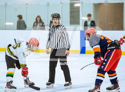 Thumbnail 3 in Woodbridge @ West Springfield photogallery.
