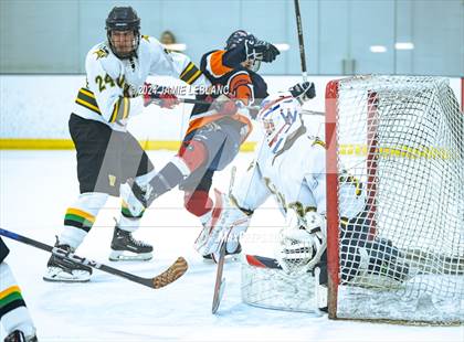 Thumbnail 2 in Woodbridge @ West Springfield photogallery.