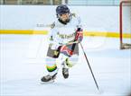 Photo from the gallery "Woodbridge @ West Springfield"