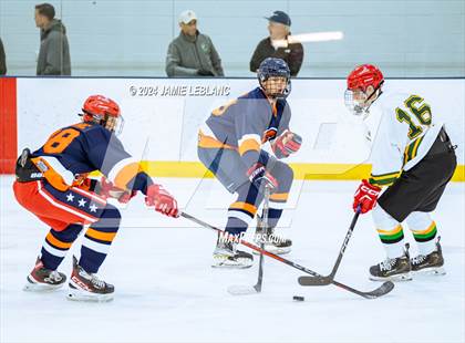 Thumbnail 3 in Woodbridge @ West Springfield photogallery.