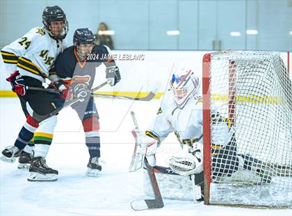 Thumbnail 3 in Woodbridge @ West Springfield photogallery.