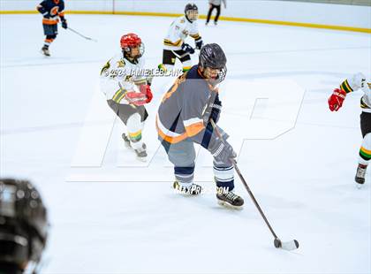 Thumbnail 1 in Woodbridge @ West Springfield photogallery.