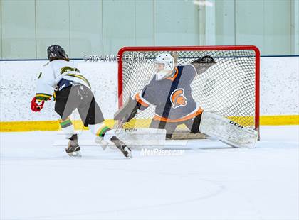Thumbnail 1 in Woodbridge @ West Springfield photogallery.