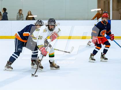 Thumbnail 2 in Woodbridge @ West Springfield photogallery.