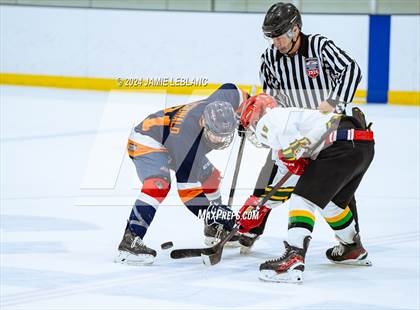 Thumbnail 3 in Woodbridge @ West Springfield photogallery.