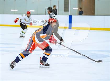 Thumbnail 3 in Woodbridge @ West Springfield photogallery.