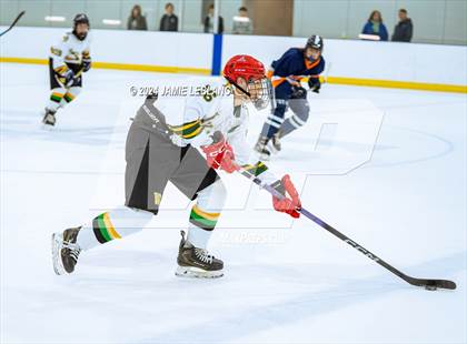Thumbnail 3 in Woodbridge @ West Springfield photogallery.