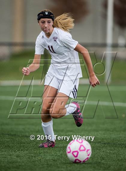 Thumbnail 1 in Wheatland-Chili vs Ellicottville (NYSPHSAA Class D Regional Final) photogallery.