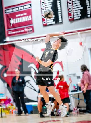 Monterey Trail @ Laguna Creek