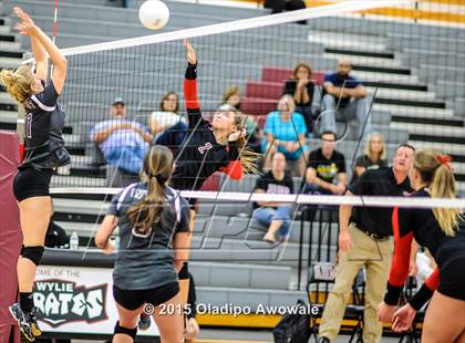 Thumbnail 1 in Wylie @ Lovejoy photogallery.