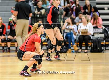 Thumbnail 1 in Wylie @ Lovejoy photogallery.