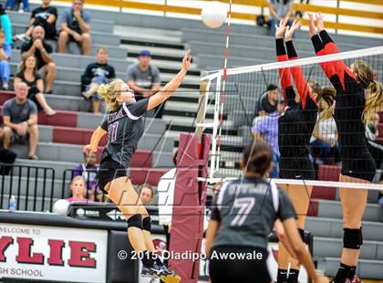 Thumbnail 2 in Wylie @ Lovejoy photogallery.