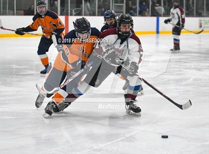 Thumbnail 3 in Mountain Lakes @ Newton/Lenape Valley photogallery.