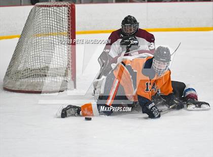 Thumbnail 1 in Mountain Lakes @ Newton/Lenape Valley photogallery.