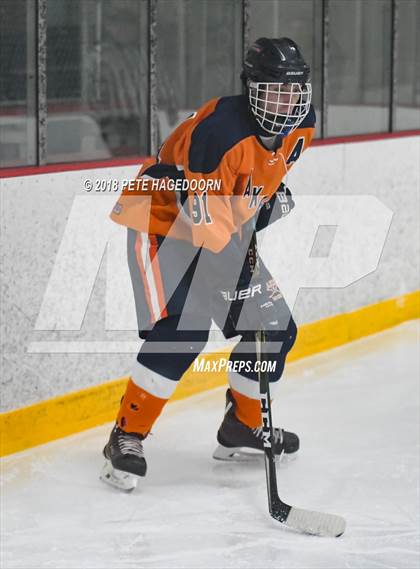 Thumbnail 3 in Mountain Lakes @ Newton/Lenape Valley photogallery.