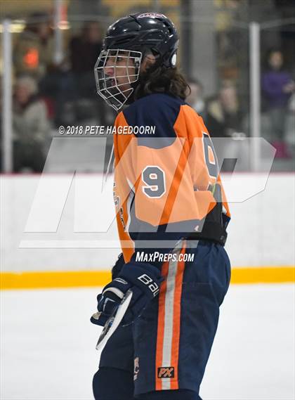 Thumbnail 3 in Mountain Lakes @ Newton/Lenape Valley photogallery.