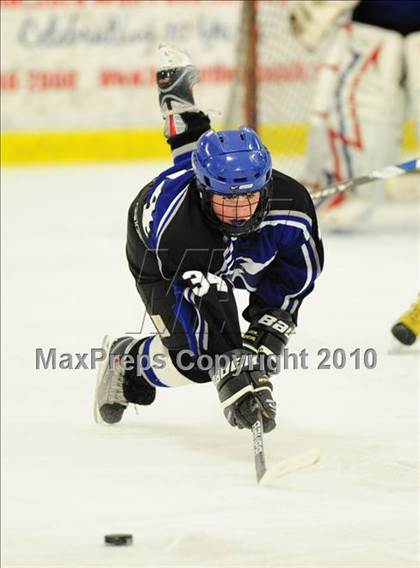 Thumbnail 1 in Hall/Southington @ East Catholic photogallery.