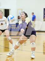 Photo from the gallery "St. Catherine of Siena Academy @ Marian"