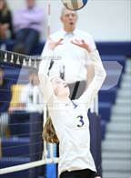 Photo from the gallery "St. Catherine of Siena Academy @ Marian"