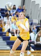 Photo from the gallery "St. Catherine of Siena Academy @ Marian"