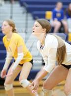 Photo from the gallery "St. Catherine of Siena Academy @ Marian"