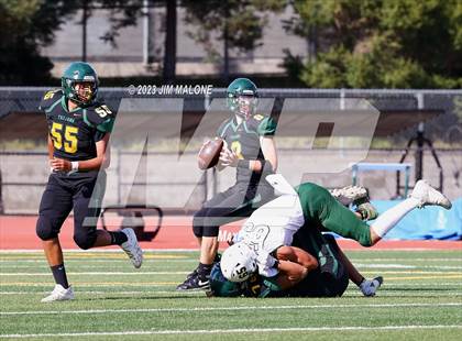Thumbnail 3 in Livermore @ Castro Valley photogallery.
