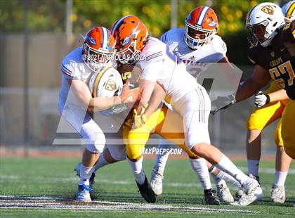 Thumbnail 1 in Westlake vs. Crespi photogallery.