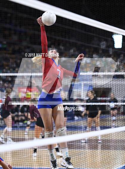 Thumbnail 2 in Cherry Creek vs. Ralston Valley (CHSAA 5A Playoff) photogallery.