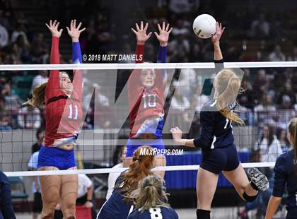 Thumbnail 1 in Cherry Creek vs. Ralston Valley (CHSAA 5A Playoff) photogallery.
