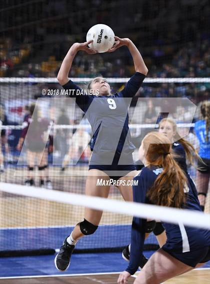 Thumbnail 3 in Cherry Creek vs. Ralston Valley (CHSAA 5A Playoff) photogallery.