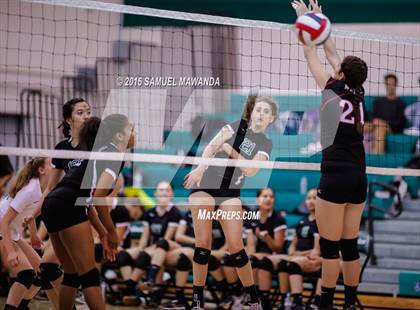 Thumbnail 2 in Cleveland @ Granada Hills  photogallery.