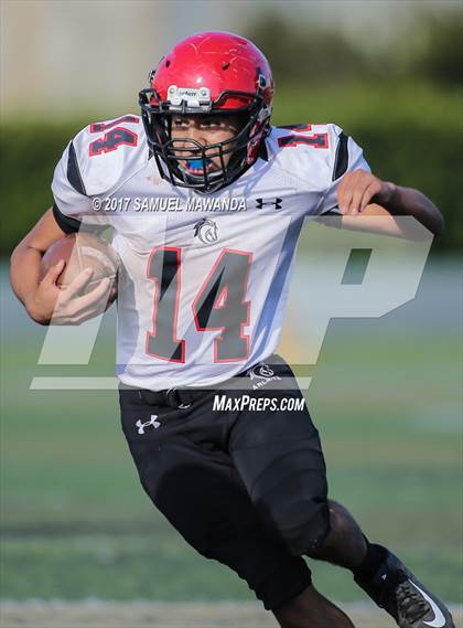 Thumbnail 3 in Arleta vs St. Genevieve photogallery.