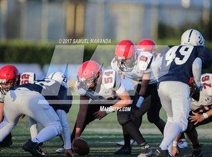 Thumbnail 1 in Arleta vs St. Genevieve photogallery.