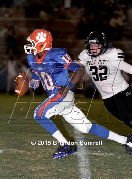 Thumbnail 1 in Pell City @ Chilton County photogallery.