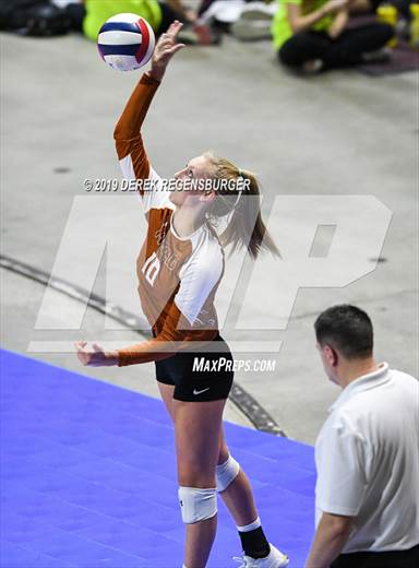 null - Photo 11