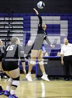 Photo from the gallery "Yuma @ Cactus"